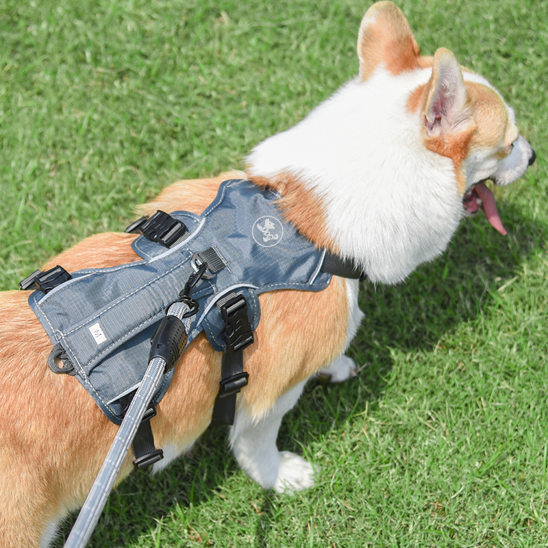 Pet Harness Dog Hand Holding Rope - Image 2